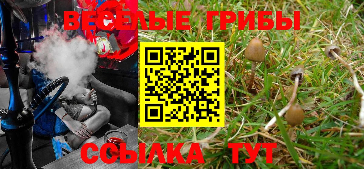 Лесосибирск  что такое   Вход с VPN  Галлюциногенные грибы MAGIC MUSHROOMS 