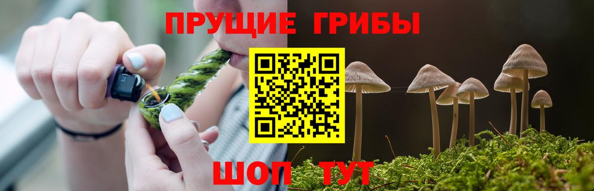 Галлюциногенные грибы прущие грибы Лесосибирск